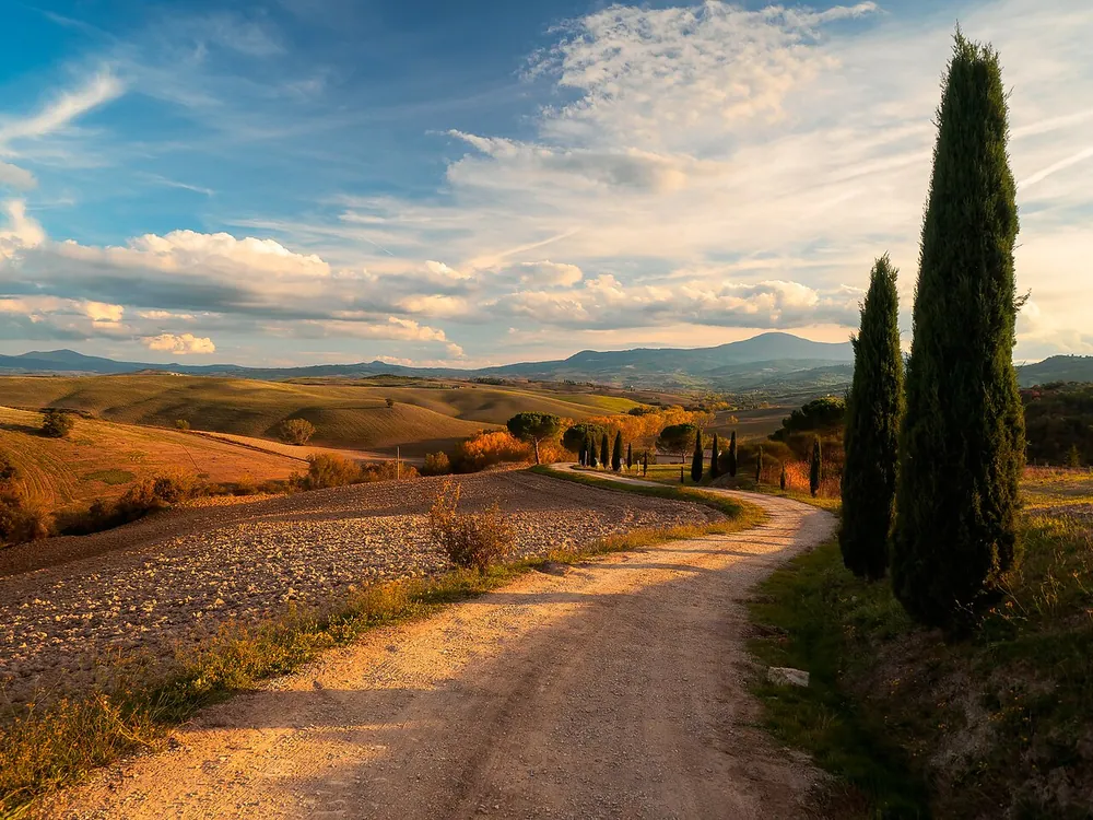 A cypress-lined road in the Val d'Orcia, Tuscany