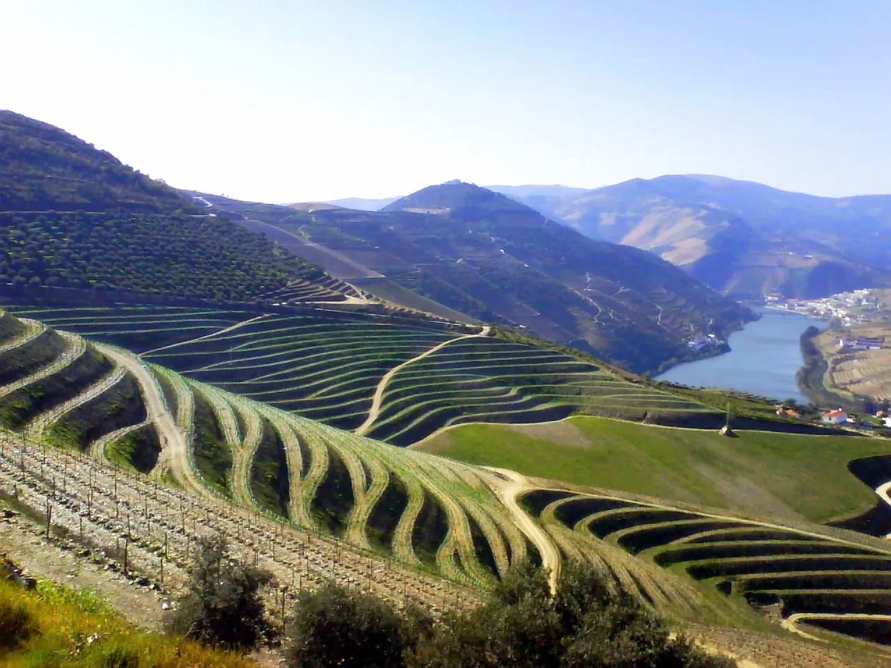 Terraced vineyards dropping to the Douro river, with mountains behind