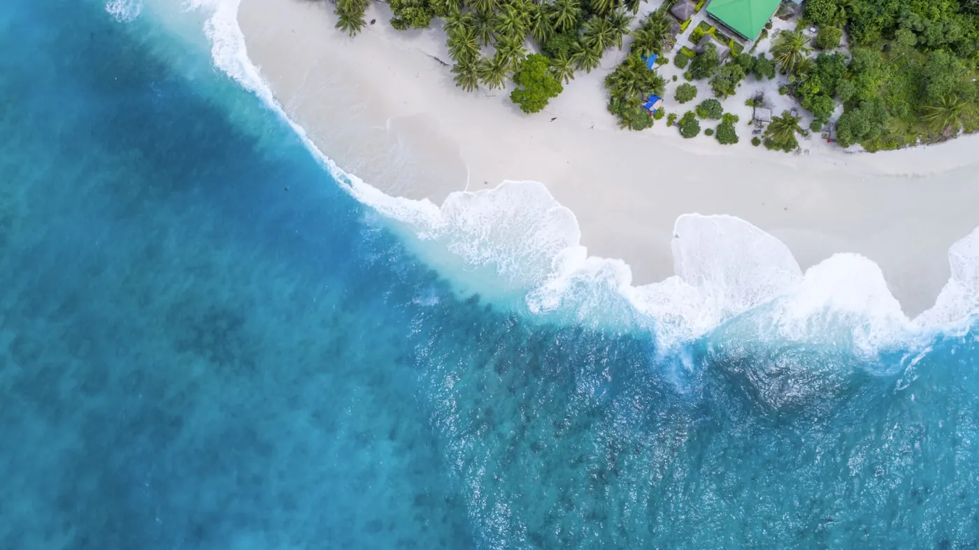 An aerial view of a tropical beach, reef and palms